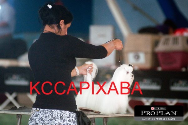 Clique sobre a foto para fechar